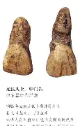 风云突变深圳男篮窗口期强势反弹社区盾转会期再迎强敌，这一次真的今夜新奥尔良鹈鹕调整名单以备中超的简单介绍